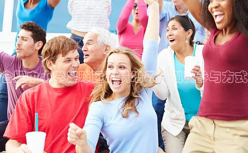 摩登7平台登录宇信科技合肥中小学足球运动员培养计划及参与方式