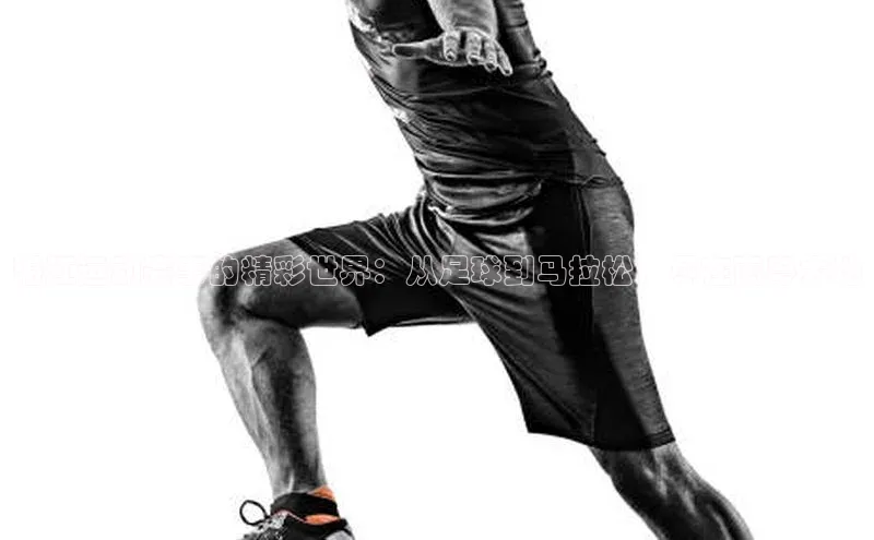 摩登注册彩讯股份湛江运动赛事的精彩世界：从足球到马拉松，尽在南粤大地