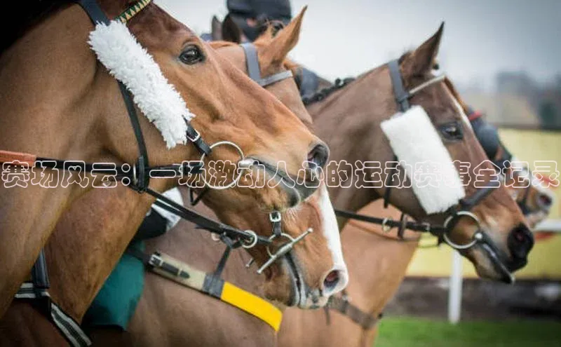 摩登天空7华策影视赛场风云：一场激动人心的运动赛事全记录