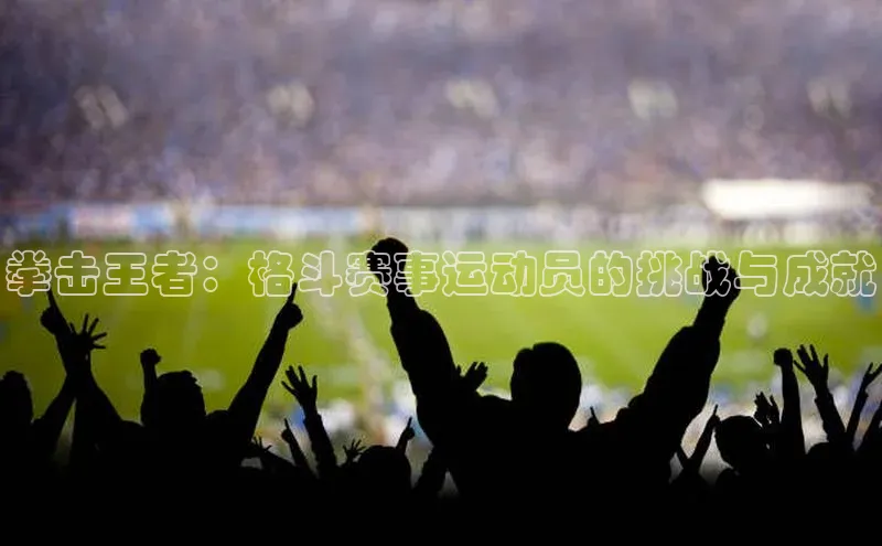 拳击王者：格斗赛事运动员的挑战与成就