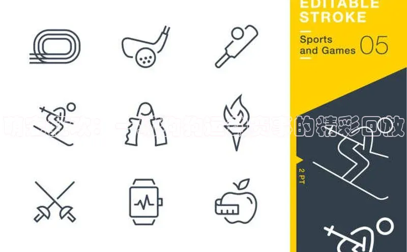 萌宠狂欢：一场狗狗运动赛事的精彩回放