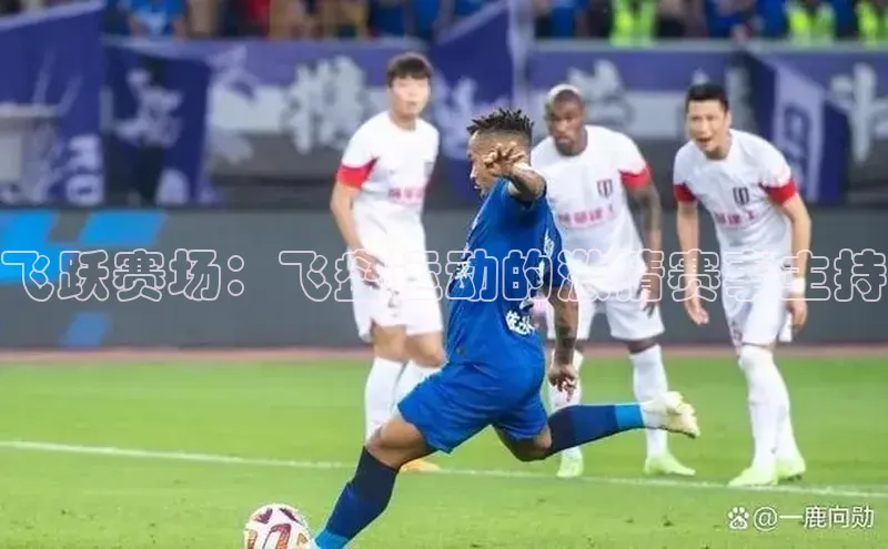 飞跃赛场：飞盘运动的激情赛事主持