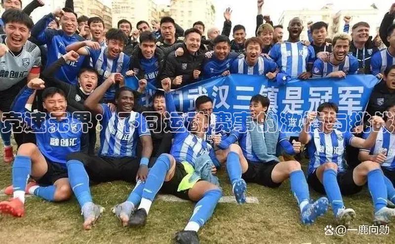 竞速无界：不同运动赛事的激情与挑战