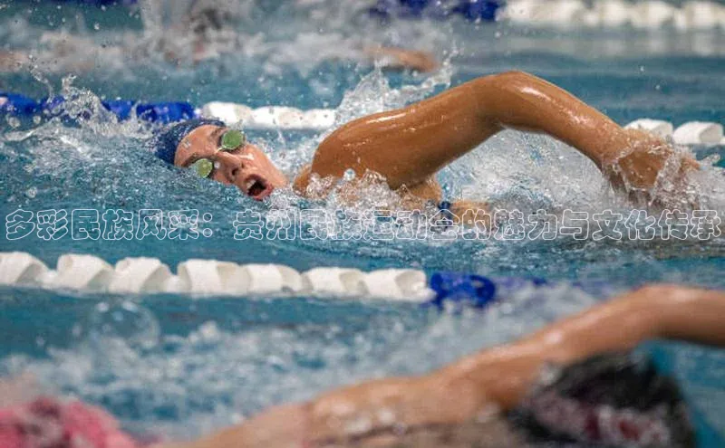 多彩民族风采：贵州民族运动会的魅力与文化传承