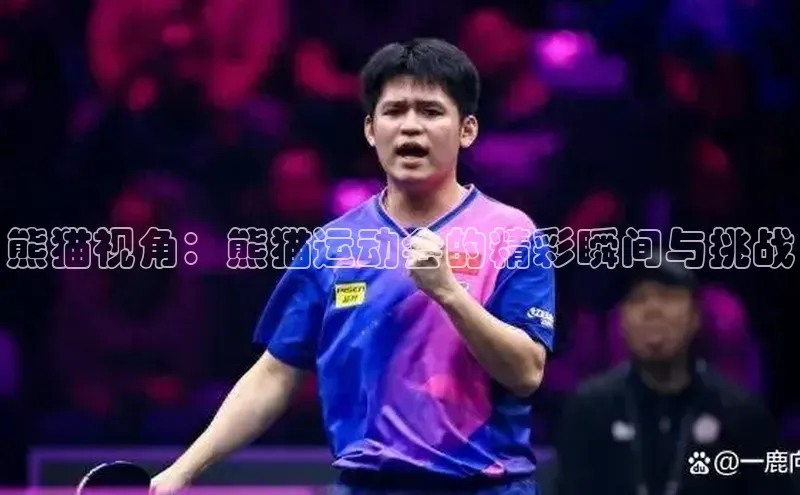 熊猫视角：熊猫运动会的精彩瞬间与挑战