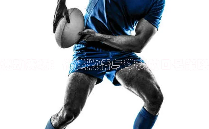 摩登7会员登录入口