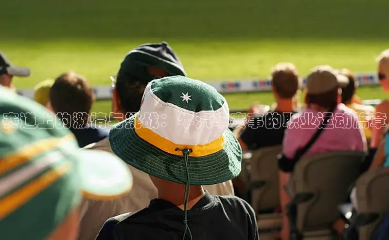 赛道上的激情与挑战：牛汽车赛事的职业运动篇章